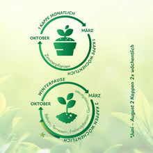 Lade das Bild in den Galerie-Viewer, Floraveda Bio Flüssigdünger – 100 % pflanzliche Nährstoffe für kräftige, gesunde Pflanzen